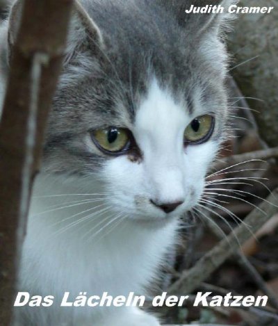 'Cover von Das Lächeln der Katzen'-Cover