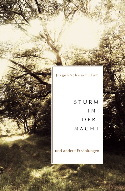 'Sturm in der Nacht'-Cover