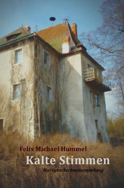 'Cover von Kalte Stimmen'-Cover