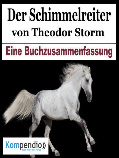 'Der Schimmelreiter von Theodor Storm'-Cover