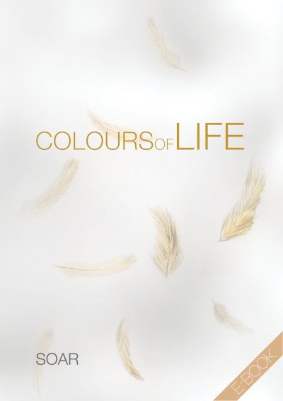 'Cover von Colours of Life'-Cover