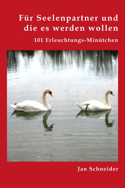 'Cover von Für Seelenpartner und die es werden wollen'-Cover
