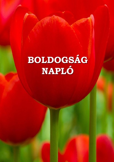 'Cover von Boldogságnapló'-Cover