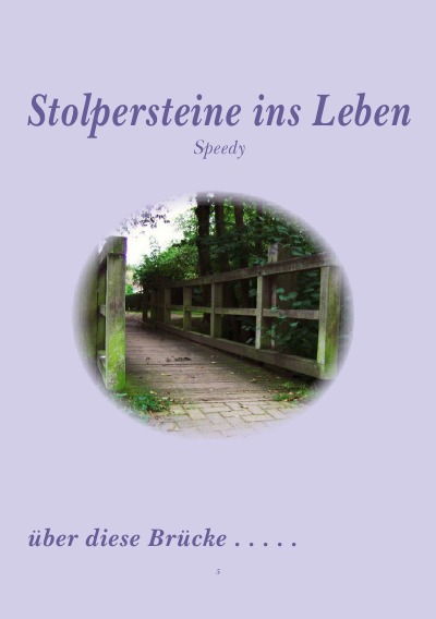 'Stolpersteine ins Leben'-Cover