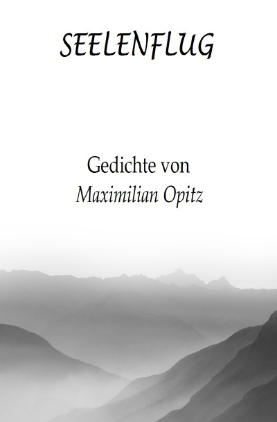 'Cover von Seelenflug'-Cover