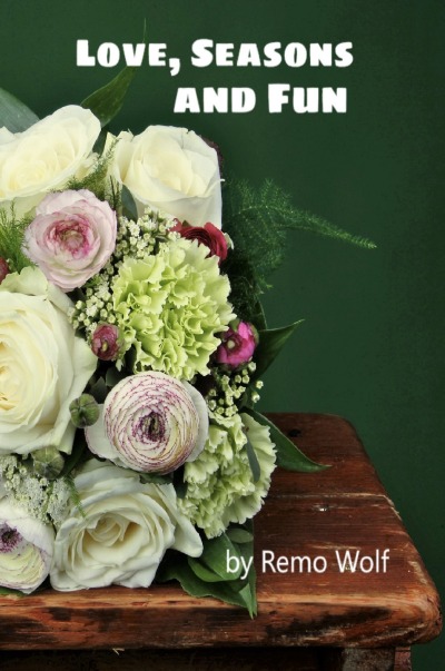 'Cover von Love, Seasons and Fun'-Cover