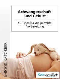 Schwangerschaft und Geburt - 12 Tipps für die perfekte Vorbereitung - Daniela Nelz, Yannick Esters, Robert Sasse
