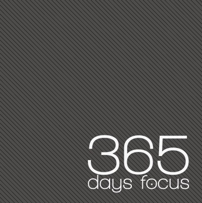 '365 days focus 2017'-Cover
