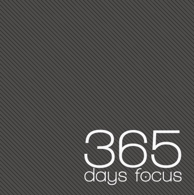 'Cover von 365 days focus 2017'-Cover