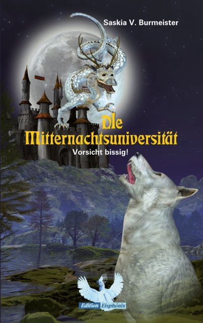 'Cover von Die Mitternachtsuniversität'-Cover