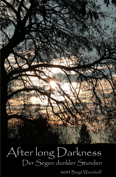 'Cover von After long Darkness (2)'-Cover