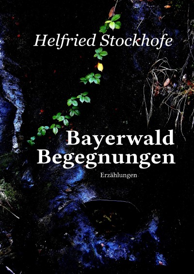 'Bayerwald Begegnungen'-Cover
