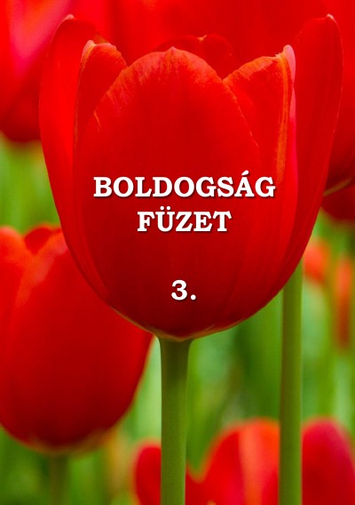 'Cover von Boldogságfüzet 3.'-Cover