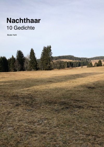 'Cover von Nachthaar'-Cover