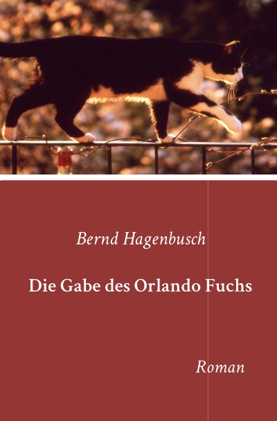 'Die Gabe des Orlando Fuchs'-Cover