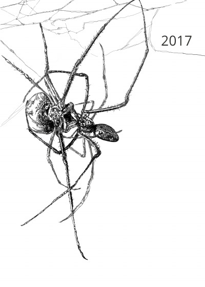 'Cover von Anna-Maria Dirrigl | Kalender 2017'-Cover