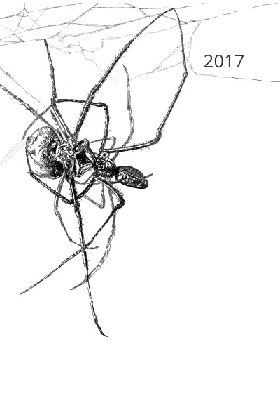 'Cover von Anna-Maria Dirrigl | Kalender 2017'-Cover