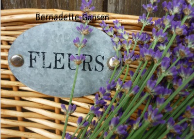 'Cover von Fleurs'-Cover