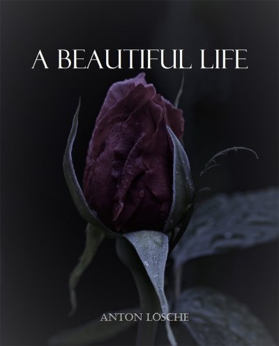 'A Beautiful Life'-Cover