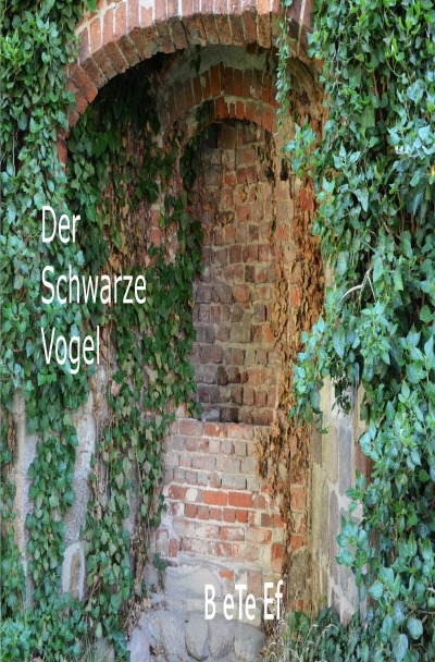 'Der Schwarze Vogel'-Cover