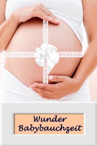 'Cover von Wunder Babybauchzeit'-Cover