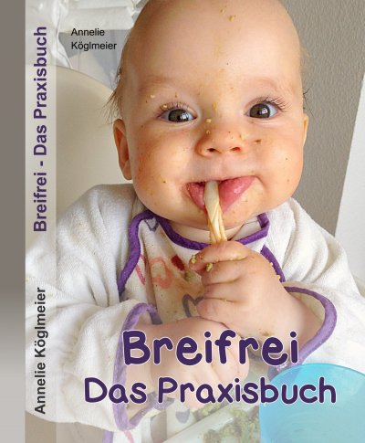'Breifrei Das Praxisbuch'-Cover