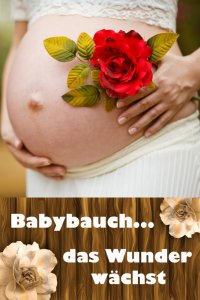Babybauch...das Wunder wächst - Alles rund um Schwangerschaft, Geburt und Babyschlaf! (Schwangerschafts-Ratgeber) - Laura Paulsen