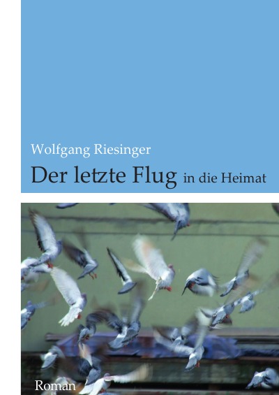 'Cover von Der letzte Flug'-Cover