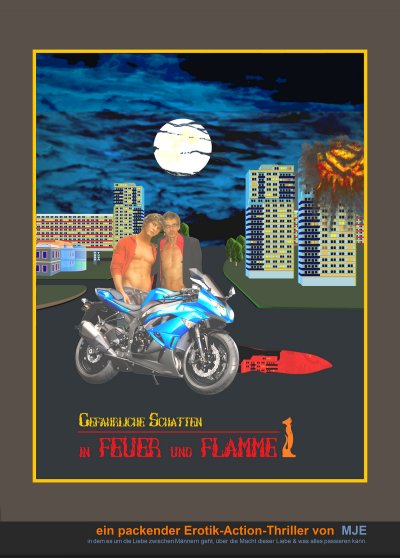 'in FEUER und FLAMME (1)'-Cover