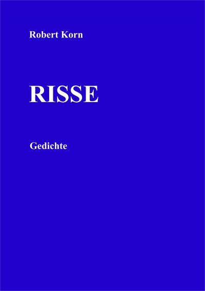 'Cover von Risse'-Cover