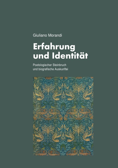 'Cover von Erfahrung und Identität'-Cover