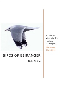 Birds of Geiranger - A different view into the region of Geiranger - Marius von Glahn