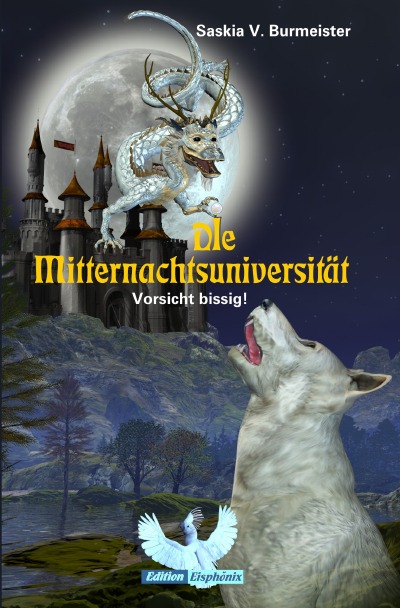 'Die Mitternachtsuniversität'-Cover