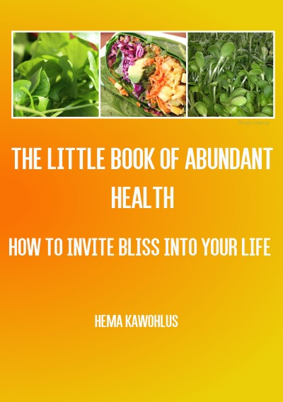 'Little Book of abundant Health'-Cover