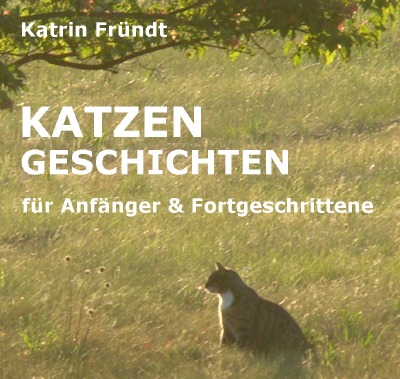 'Katzengeschichten für Anfänger & Fortgeschrittene'-Cover