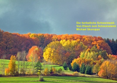 'Cover von Der herbstliche Schwarzwald'-Cover