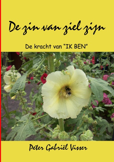 'De zin van ziel zijn'-Cover