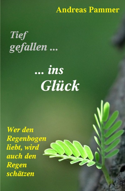 'Cover von Tief gefallen… …ins Glück'-Cover