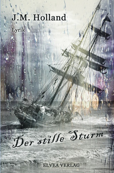 'Cover von Der stille Sturm'-Cover