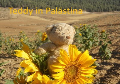 'Teddy in Palästina'-Cover