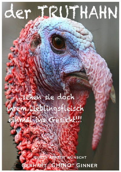 'Cover von der Truthahn'-Cover