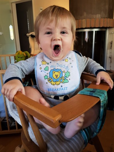 'Cover von Gourmetbaby – Ein Kochbuch für kleine Genießer'-Cover