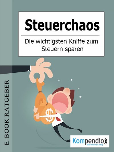 'Steuerchaos'-Cover