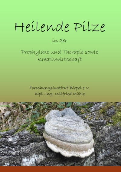 'Naturwirkstoffe für die Prophylaxe und Therapie sowie Kreativwirtschaft'-Cover