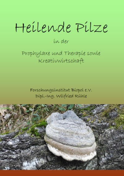 'Cover von Naturwirkstoffe für die Prophylaxe und Therapie sowie Kreativwirtschaft'-Cover