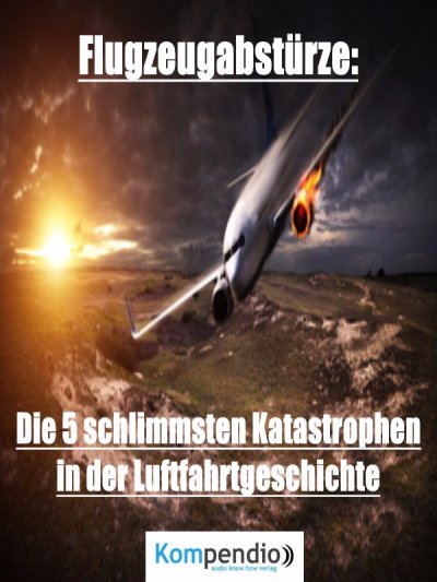 'Flugzeugabstürze'-Cover