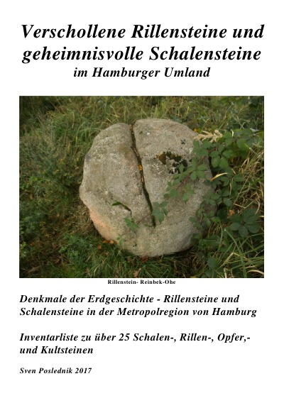 'Rillensteine und Schalensteine  in der Metropolregion von Hamburg'-Cover