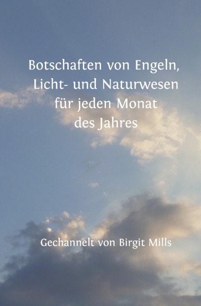'Cover von Botschaften von Engeln, Licht- und Naturwesen  für jeden Monat des Jahres'-Cover