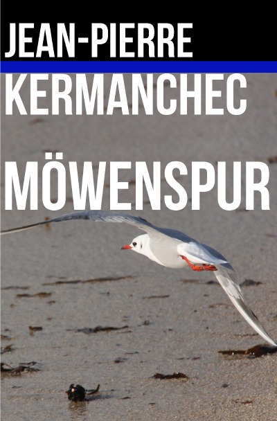 'Cover von Möwenspur'-Cover