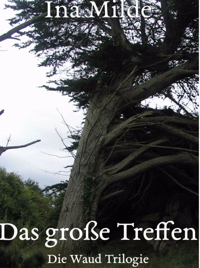 'Cover von Das große Treffen'-Cover
